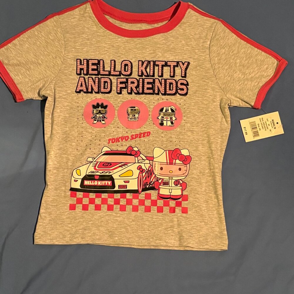 Sanrio Gray and Pink Women's Short Sleeve T-Shirt